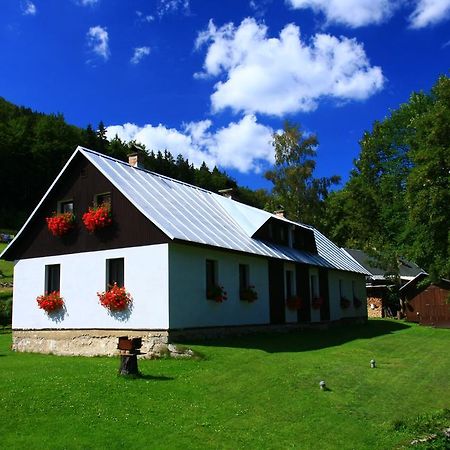 Guest House U Lakomce Desná Екстериор снимка