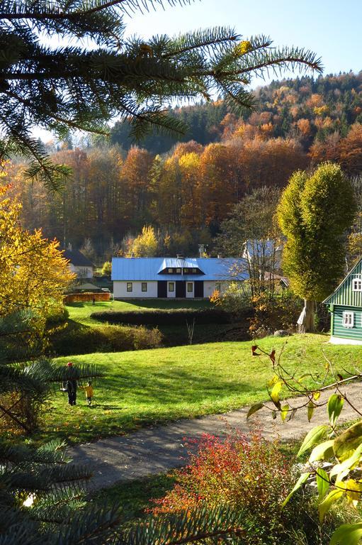 Guest House U Lakomce Desná Екстериор снимка