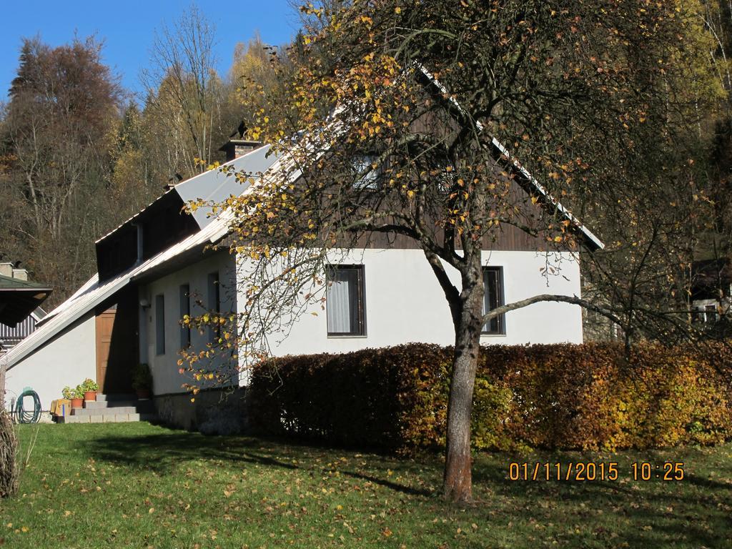 Guest House U Lakomce Desná Екстериор снимка