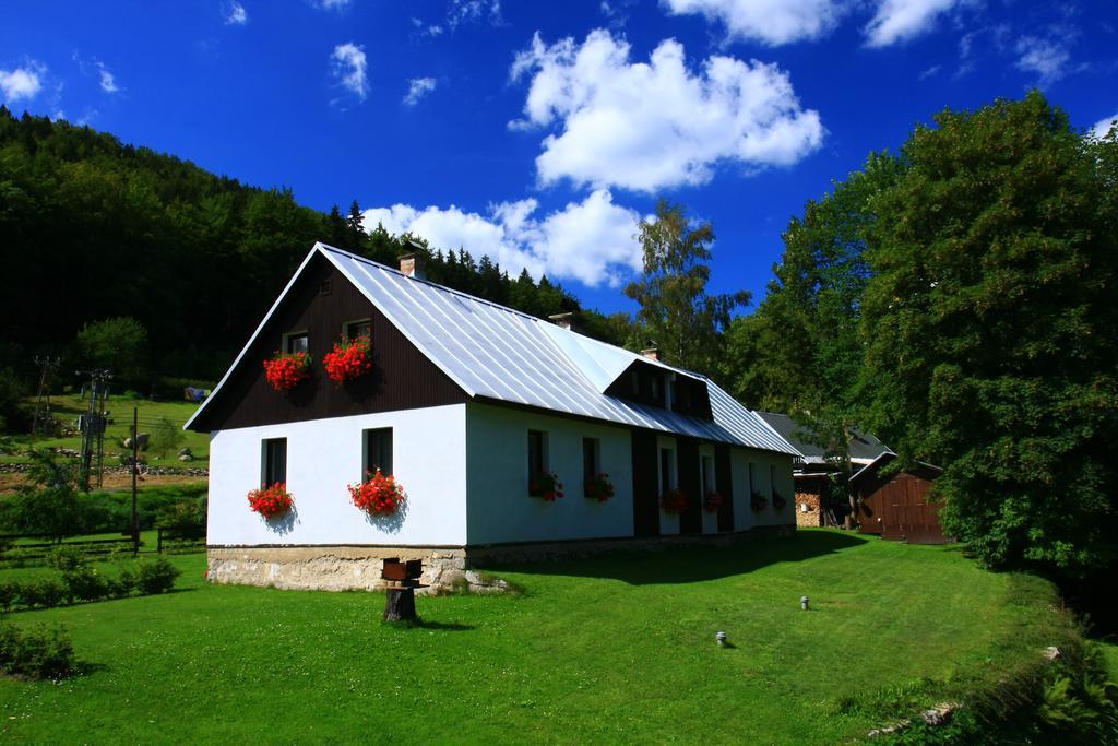 Guest House U Lakomce Desná Екстериор снимка