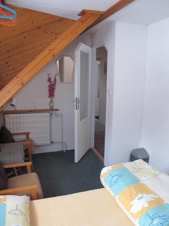 Guest House U Lakomce Desná Екстериор снимка